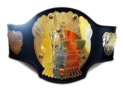Пояс по М1
